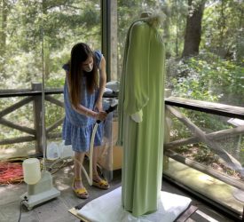 Conservator steaming a green gown worn by Princess Grace Kelly prior to exhibition.